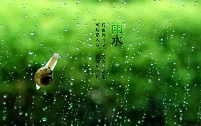 “雨水”來了，注意健脾祛濕防春寒，保健養(yǎng)生這么做！