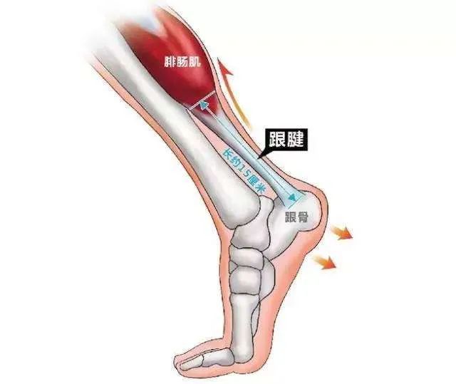 風(fēng)濕類疾病你了解多少？