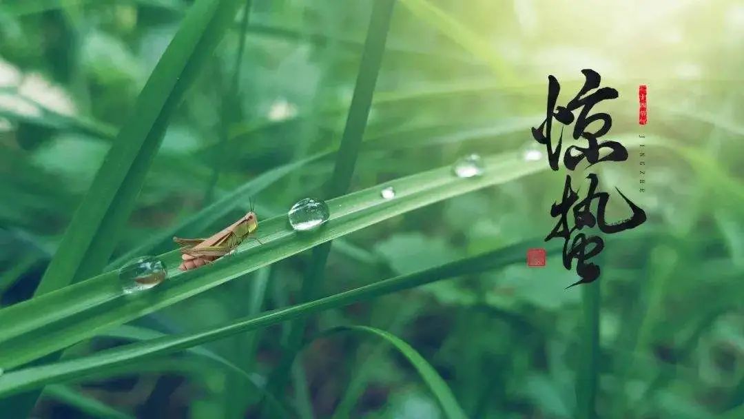 驚蟄丨萬物復(fù)蘇，養(yǎng)生好時(shí)節(jié)
