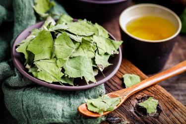 荷葉和玉米須可以一起泡水喝？當(dāng)然了！