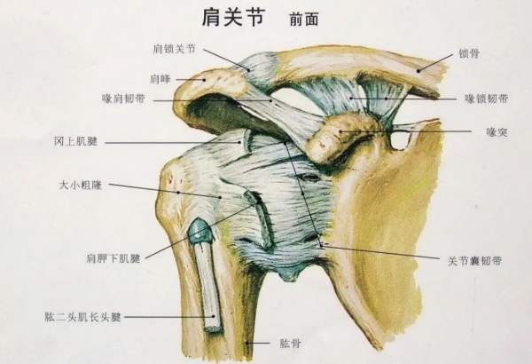 給愛打麻將的人一個養(yǎng)生理由：適度搓麻，延緩認(rèn)知衰退！