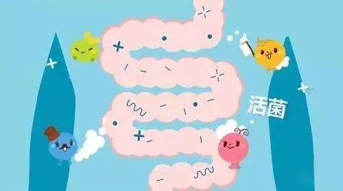 益生菌可治便秘、腹瀉，提高免疫力？