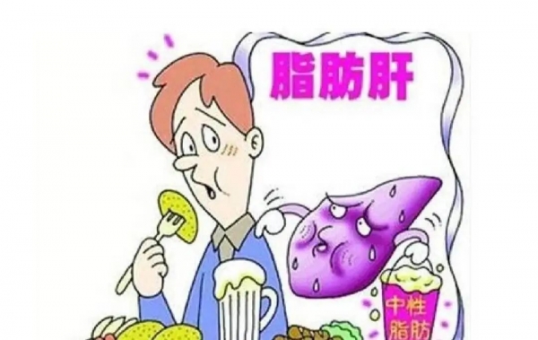 體檢查出輕度脂肪肝？想要逆轉(zhuǎn)需要做到這幾點(diǎn)