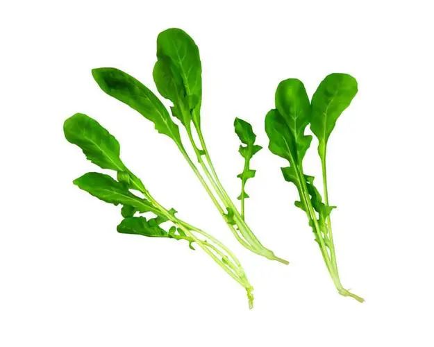 野菜嘗鮮季，這些抗癌“潛力股”您吃對了嗎？